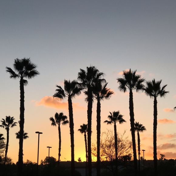 Meet your Posher, Karen - Picture 2 of 2